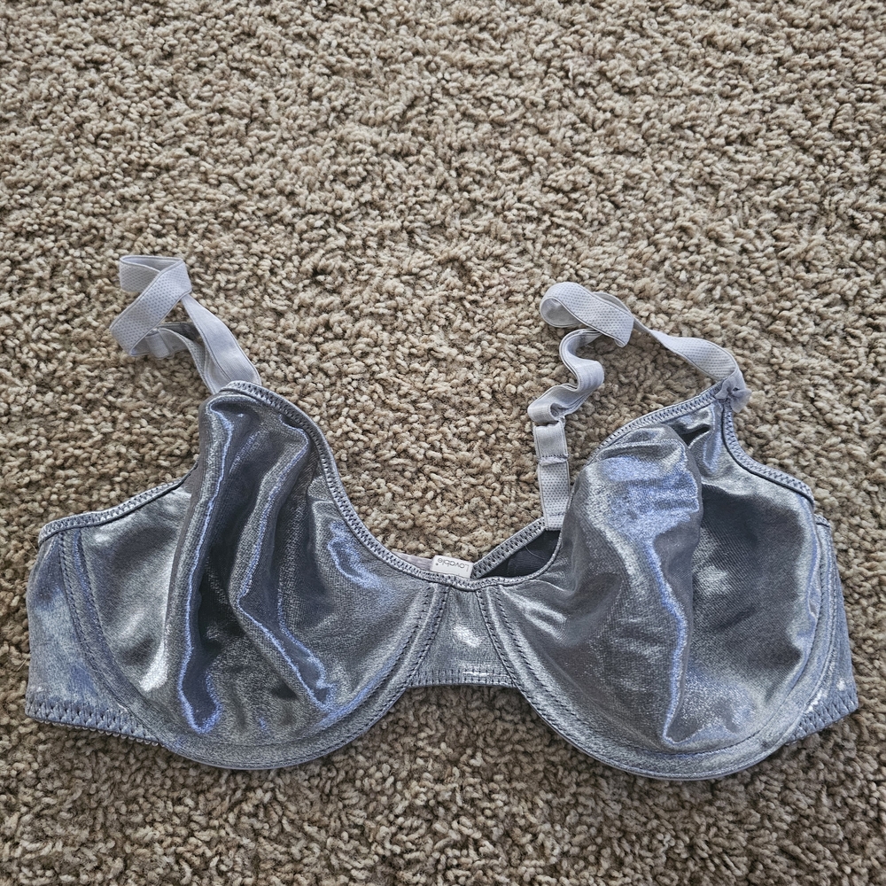 🚨 Shimmering Silver Women's Bra